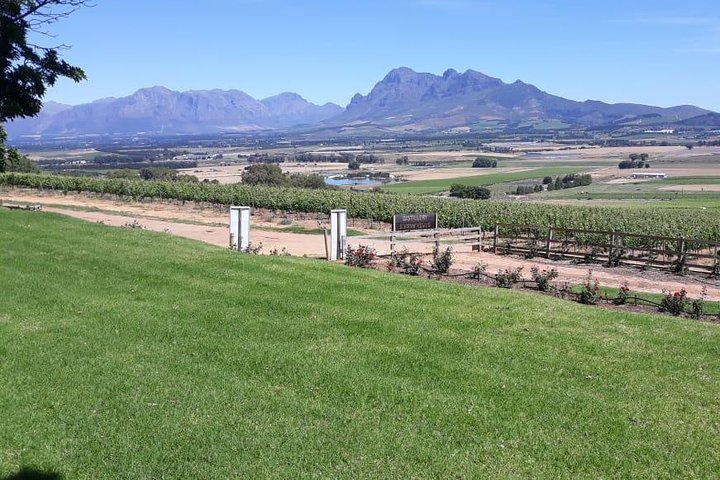  Wine Tasting in Stellenbosch, Franschhoek & Paarl fees included. - Photo 1 of 21